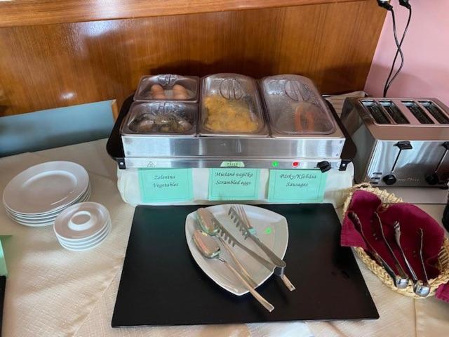 Hotel Pavla ピエシュチャニ エクステリア 写真